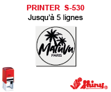 Printer S-530<br>Un 2ème pour 1€ ou 10% de remise